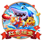 >kaiyun云开全站app登录2025最新版